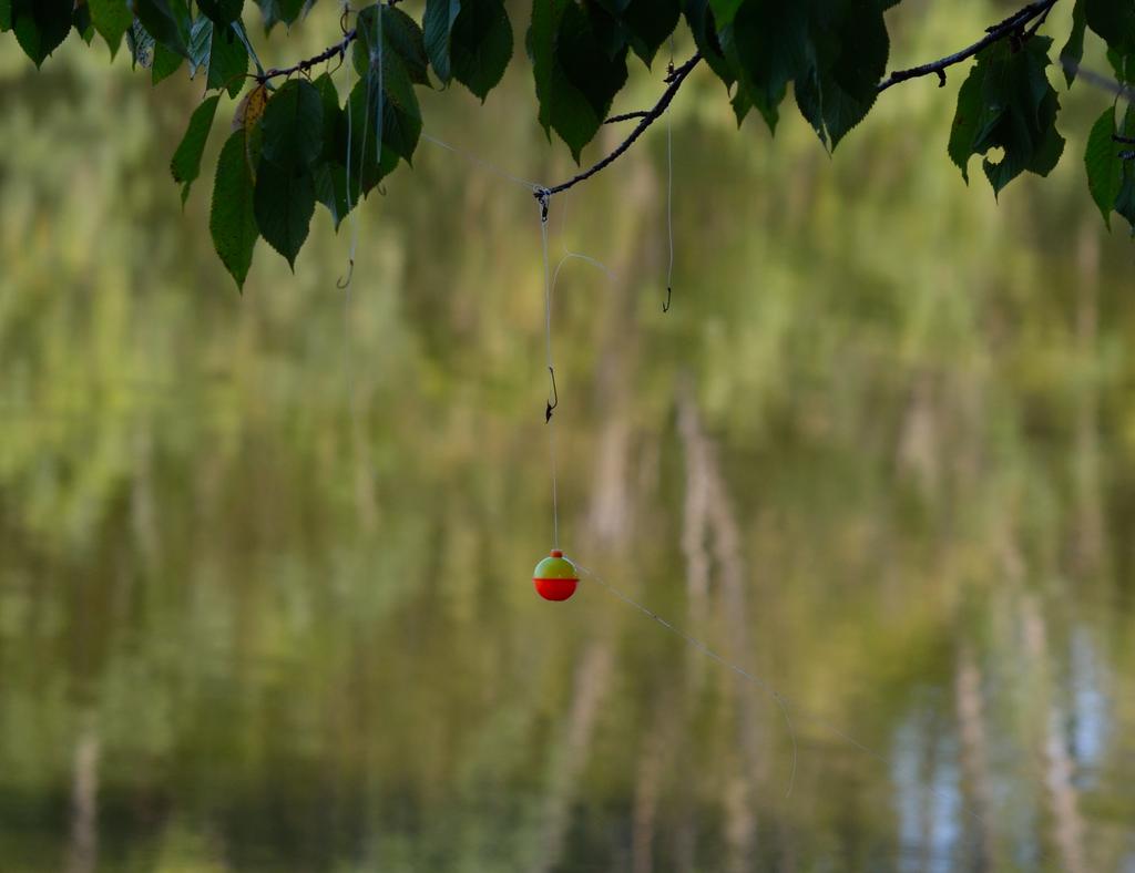 DSC_1574.jpg