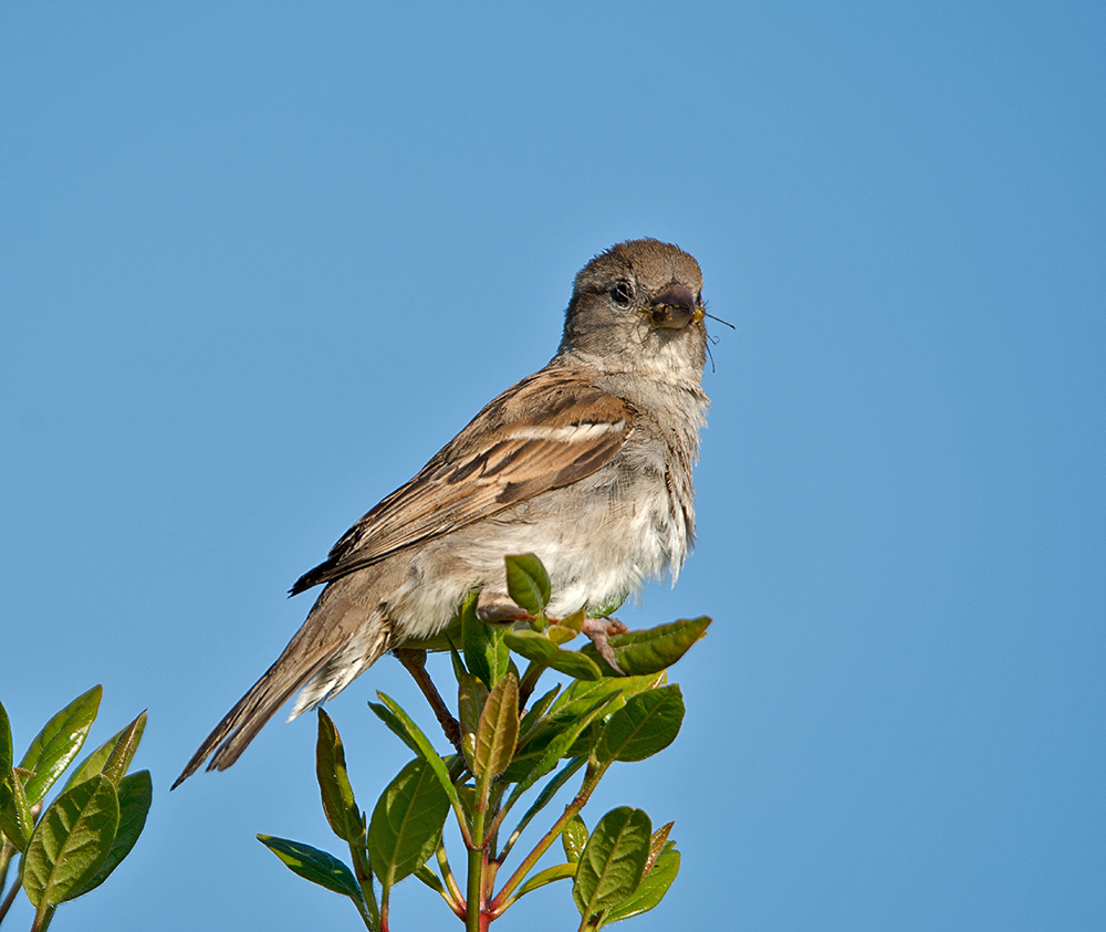 DSC_1574.jpg
