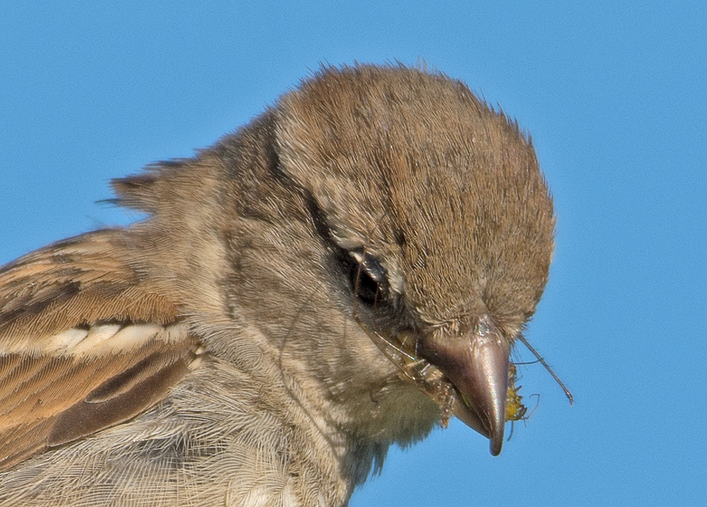 DSC_1576.jpg