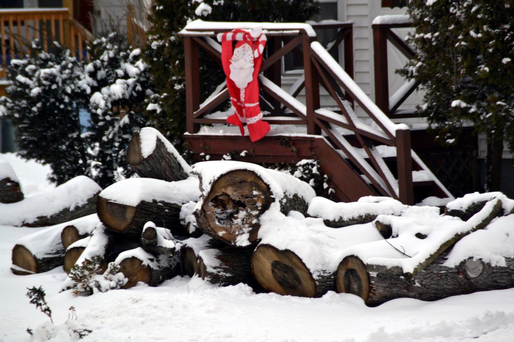 DSC_1577.jpg