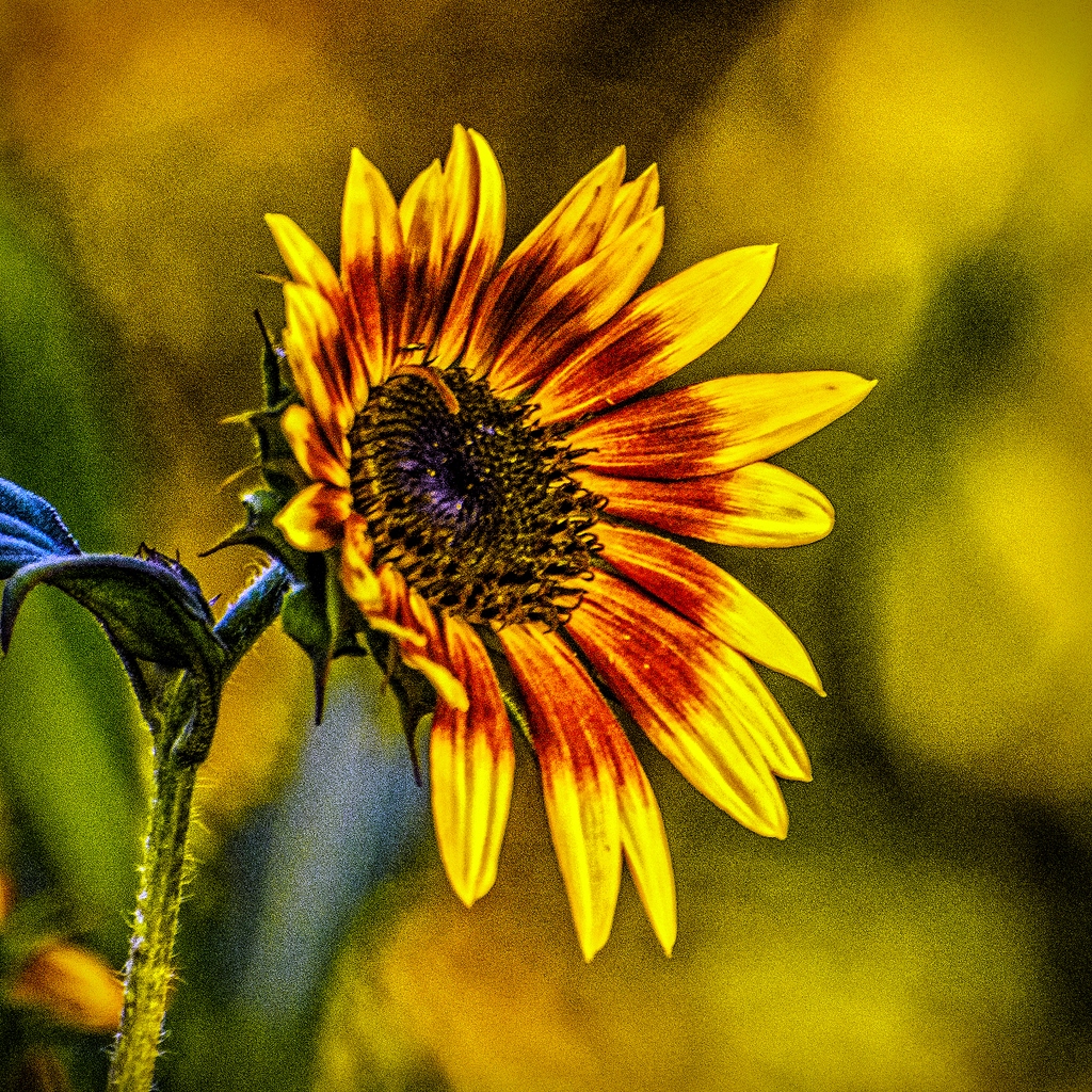 DSC_1578-Edit-Edit.jpg