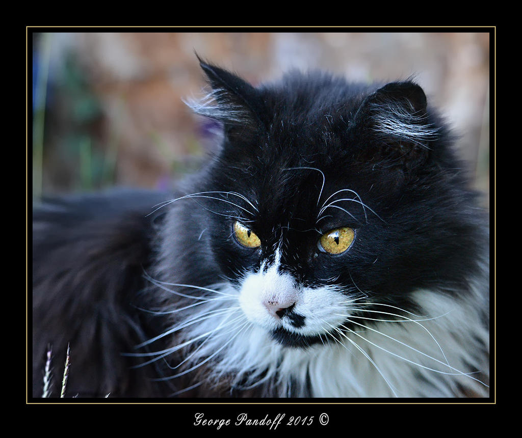 DSC_1582_Web.jpg