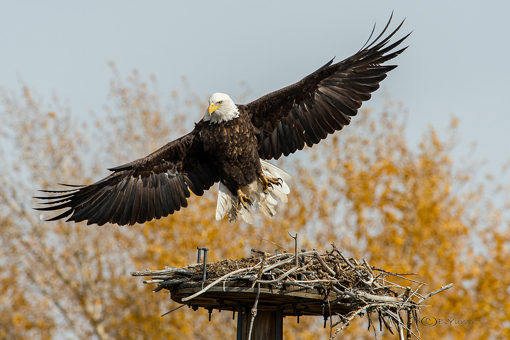 DSC_1586.jpg