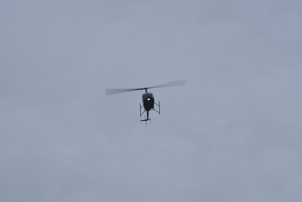DSC_1587.jpg