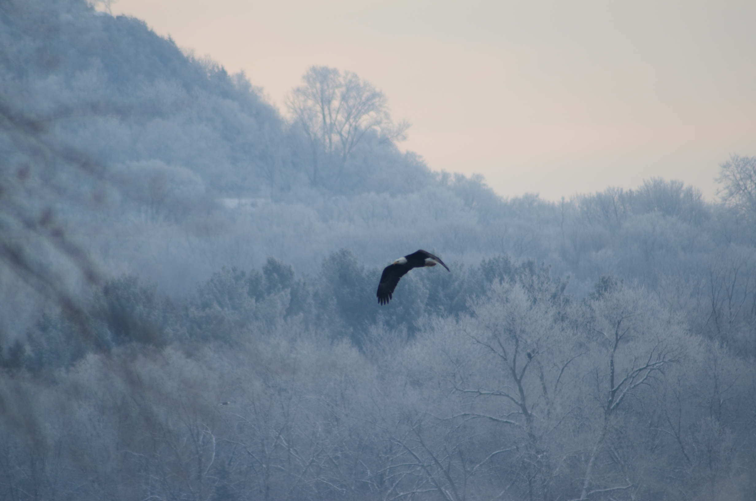 DSC_1588.JPG