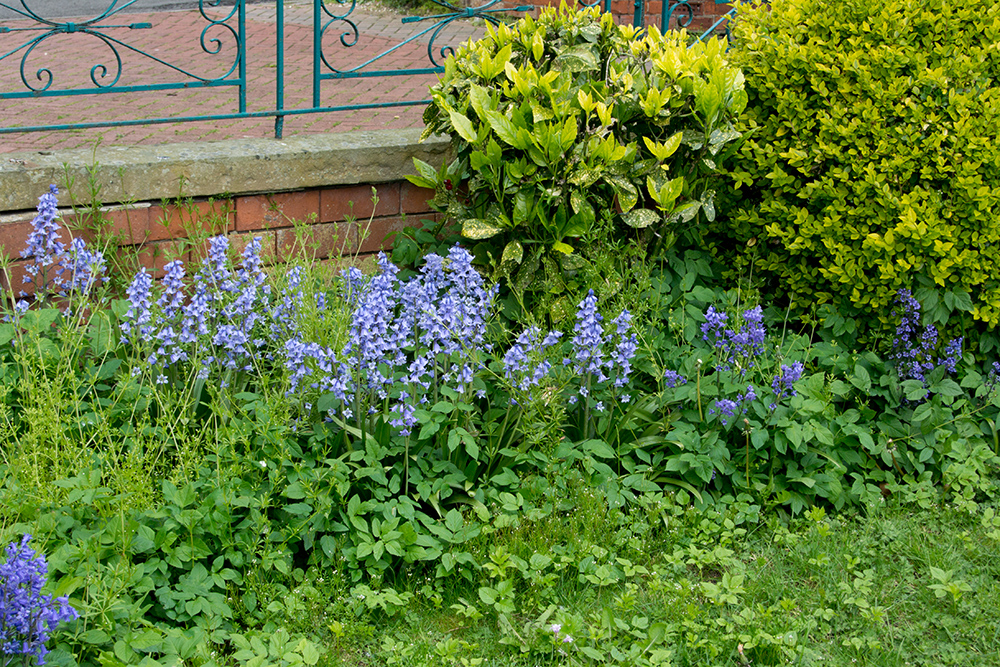 DSC_1593.jpg