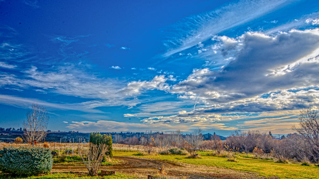 DSC_1595-Edit.jpg