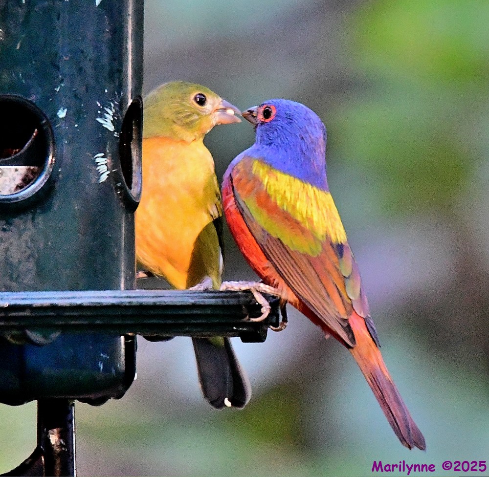 DSC_1596_001.JPG