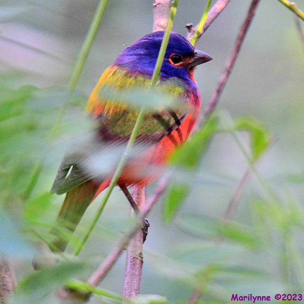 DSC_1606_001.JPG