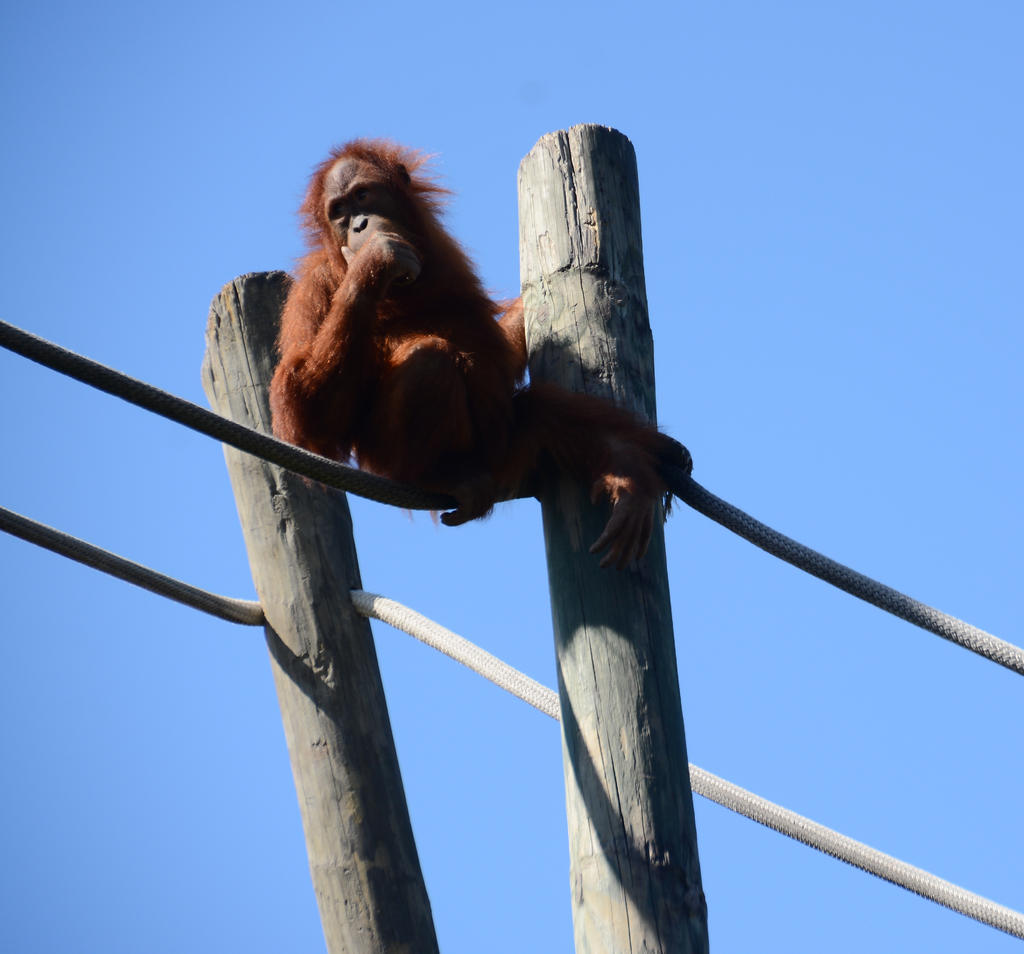 DSC_1615.jpg