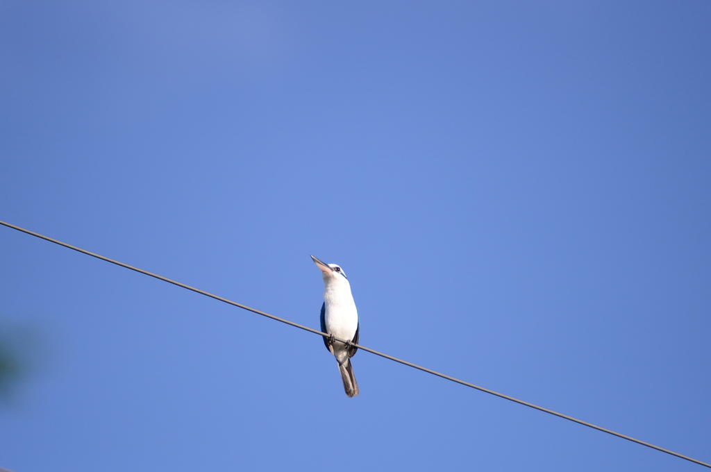 DSC_1619.jpg