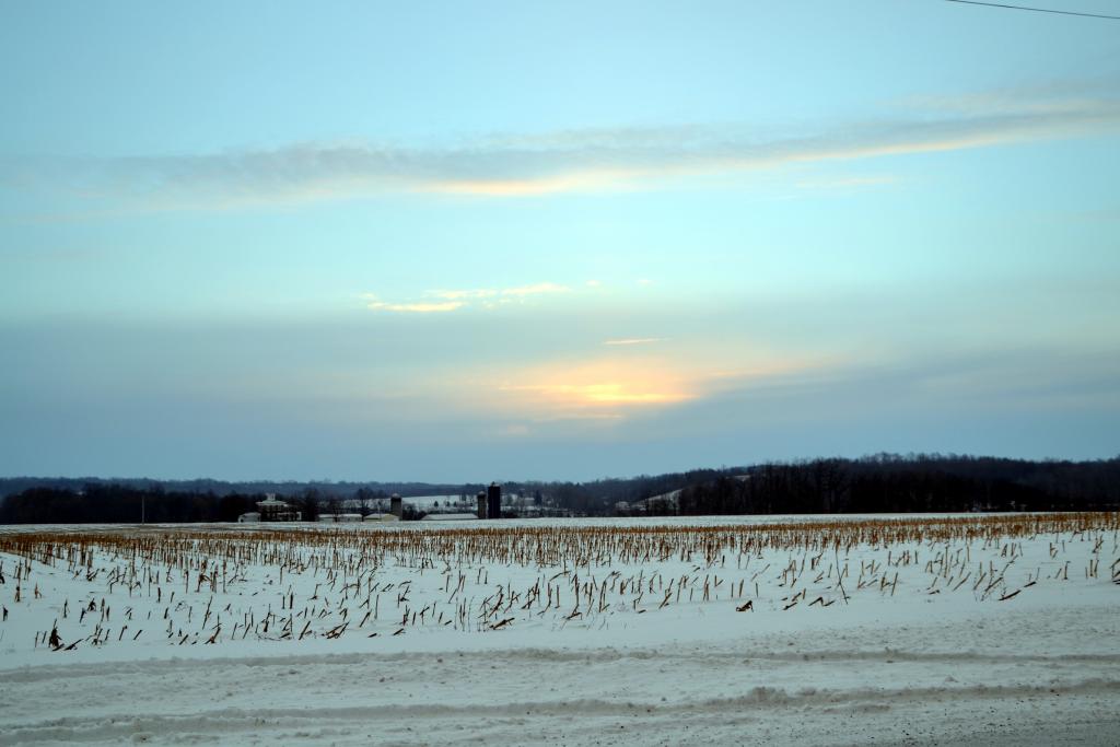 DSC_1622.jpg