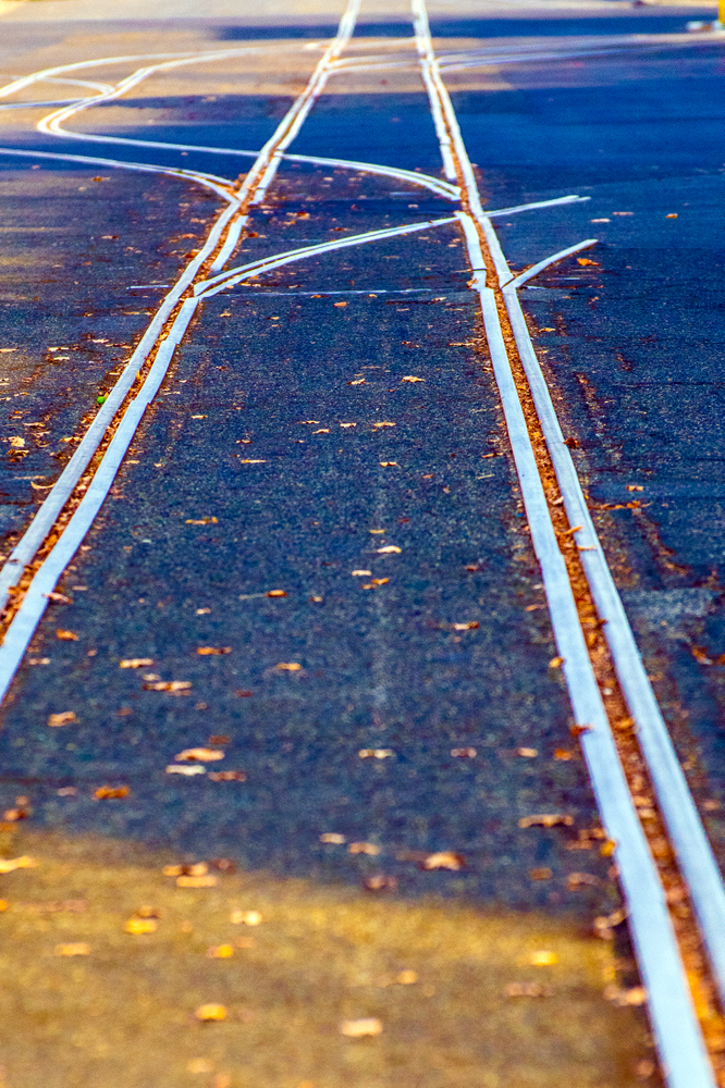 DSC_1623.jpg