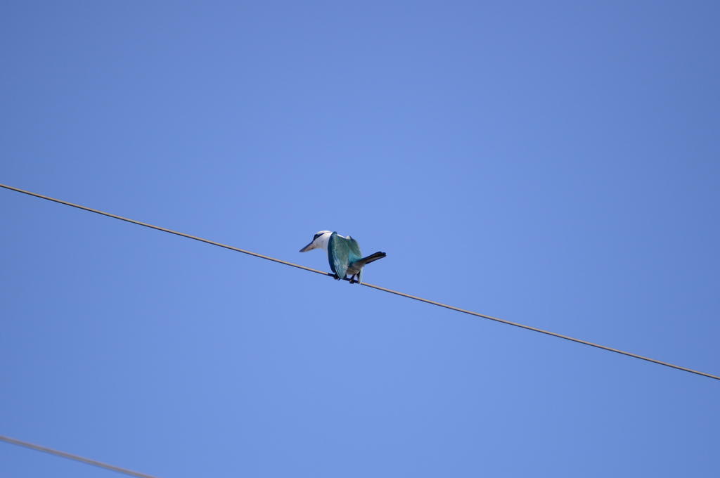 DSC_1625.jpg