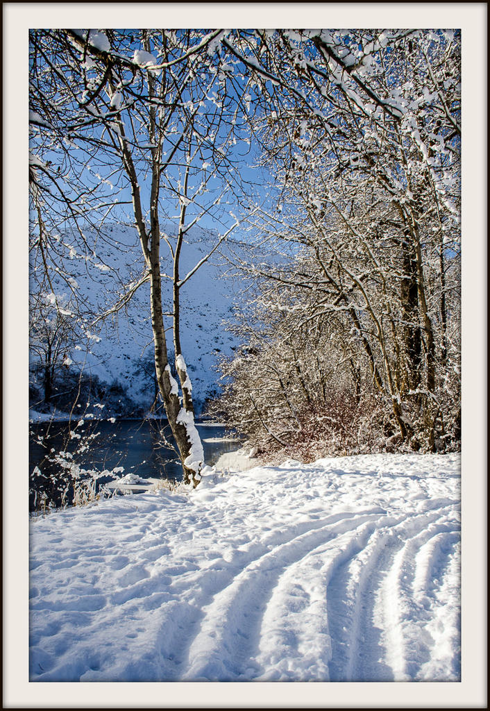 DSC_1626.jpg