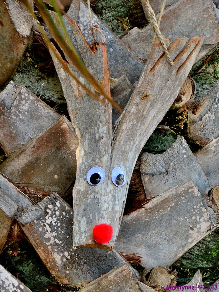 DSC_1626_001.JPG