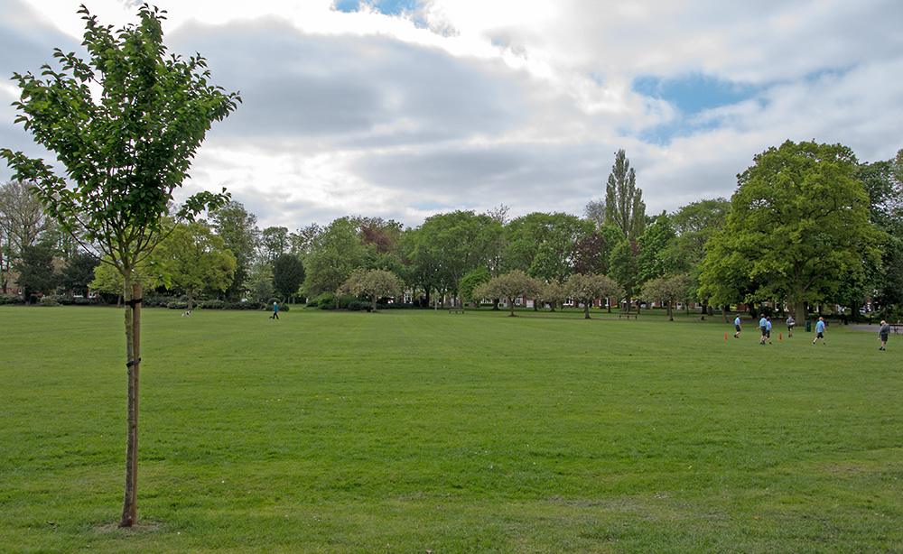 DSC_1627.jpg
