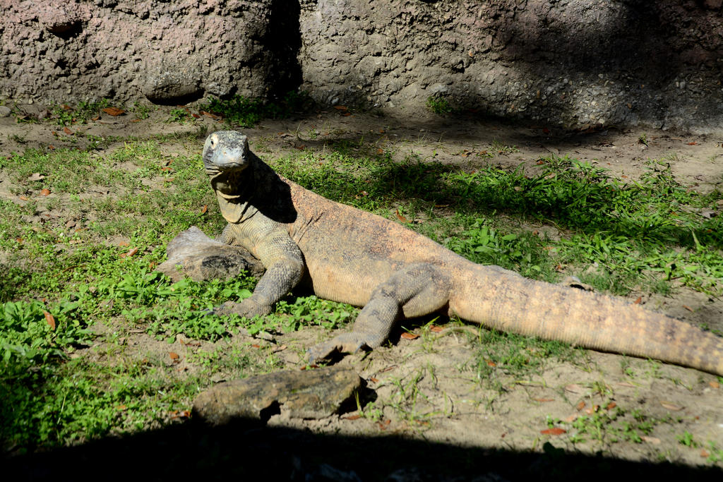 DSC_1632.jpg