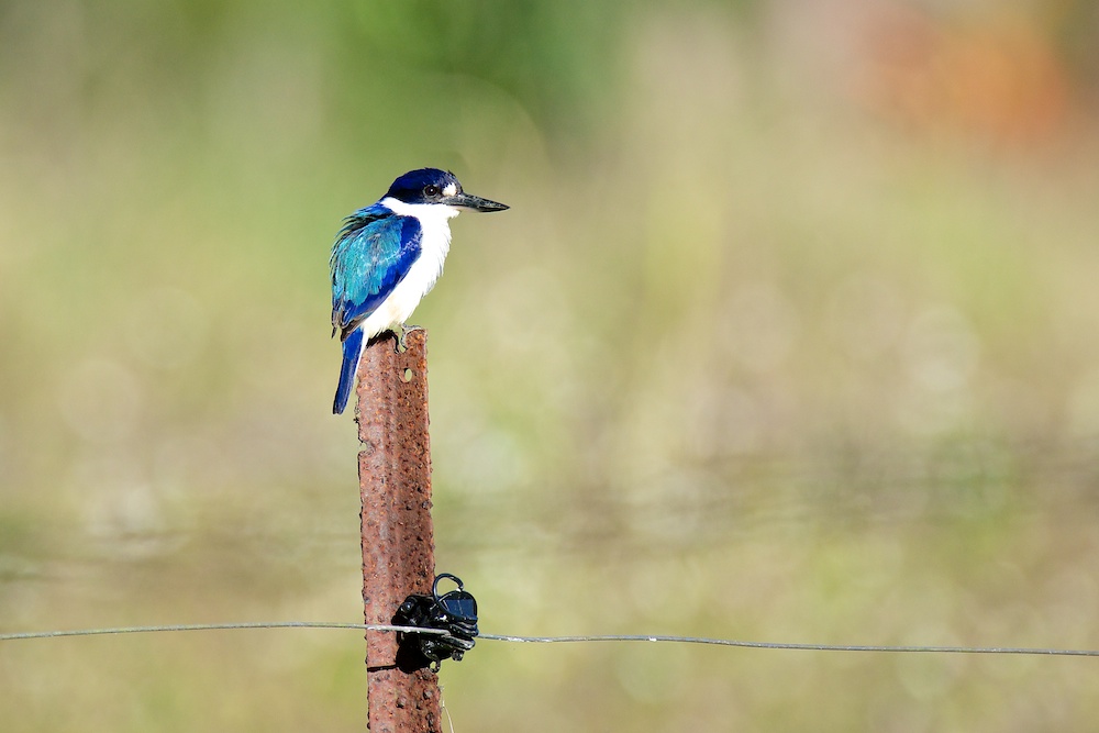 DSC_1632.jpg