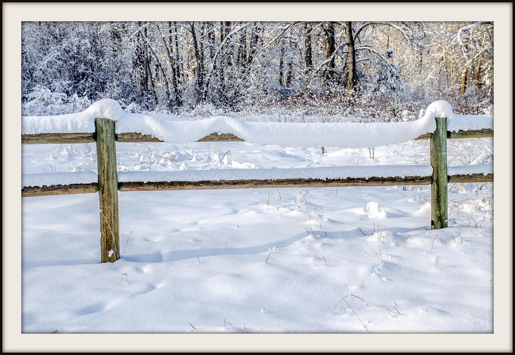 DSC_1632.jpg