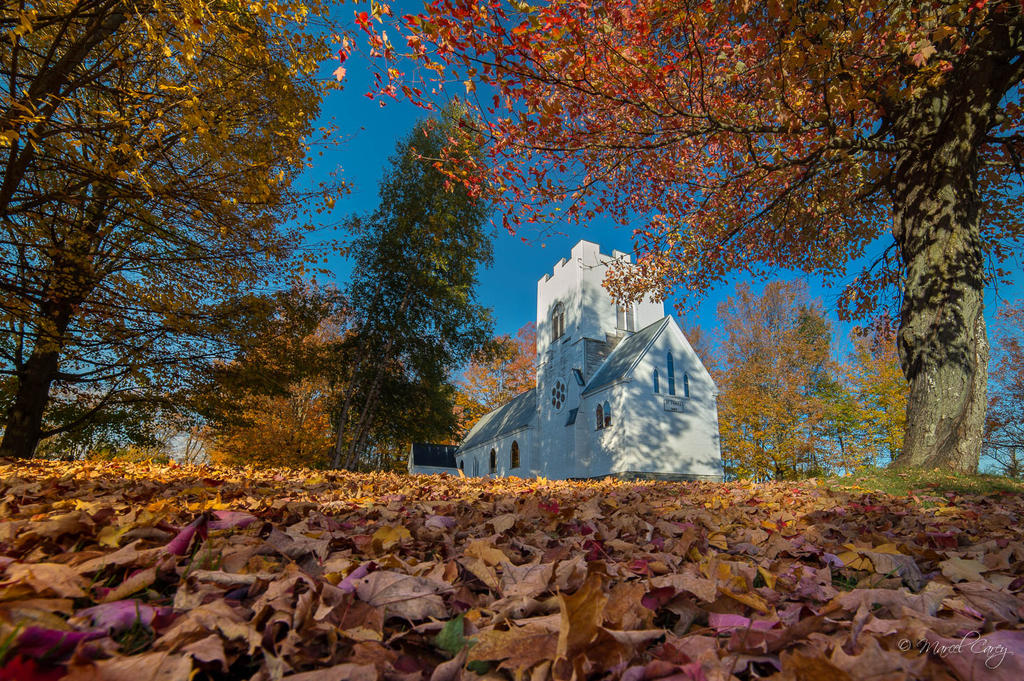 DSC_1634.jpg