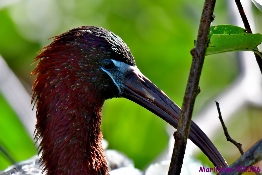 DSC_1636_001.JPG