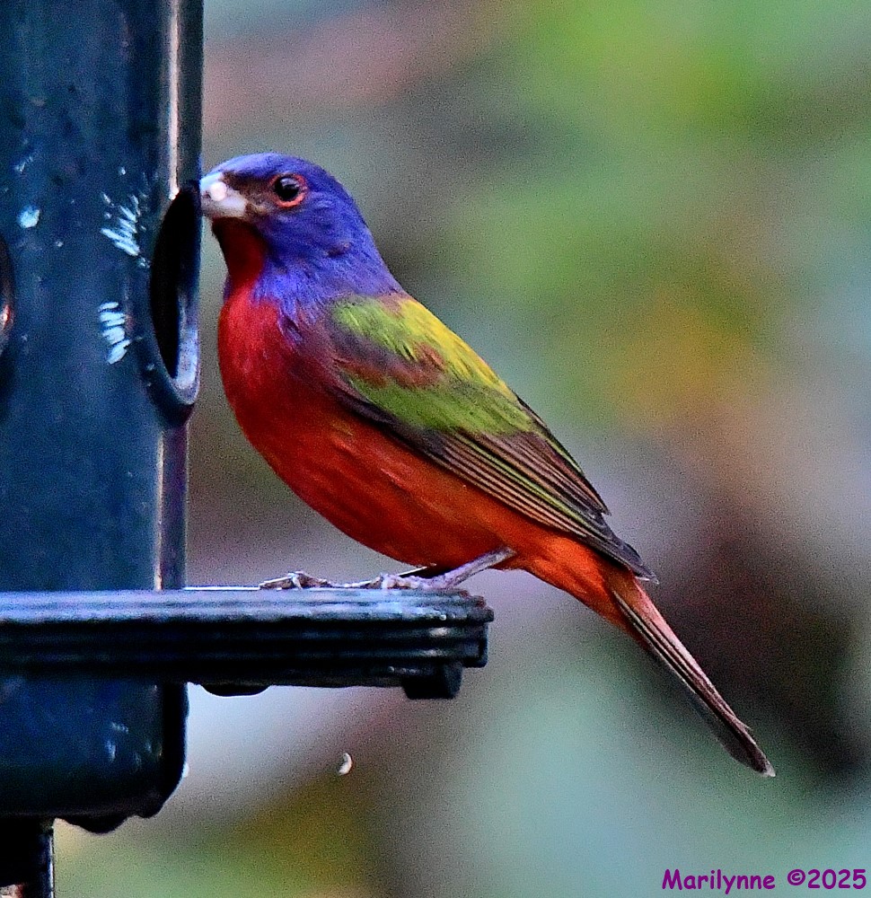 DSC_1637_001.JPG