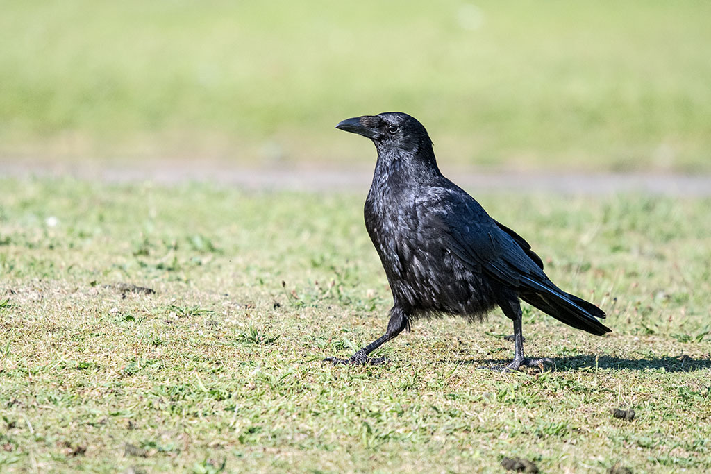 DSC_1638.jpg