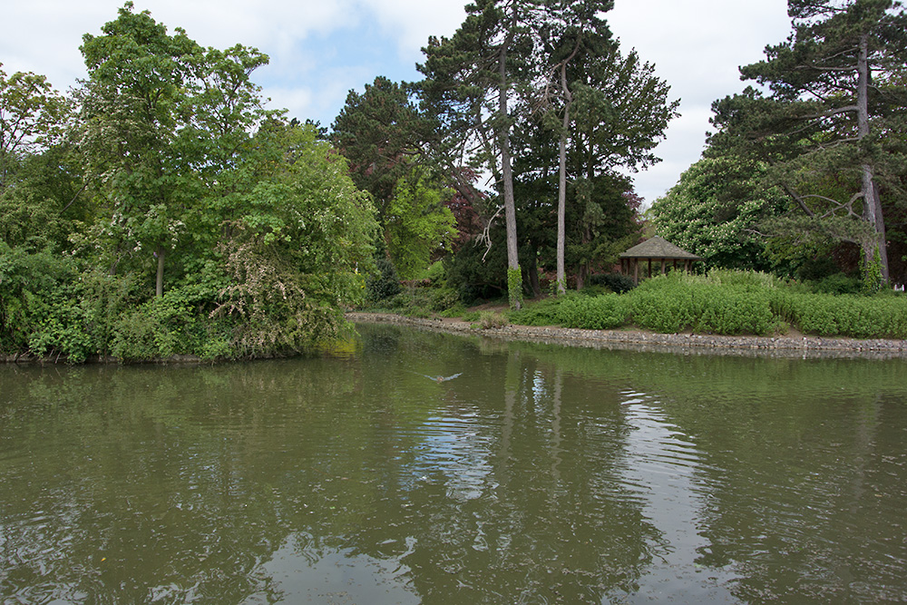 DSC_1640.jpg