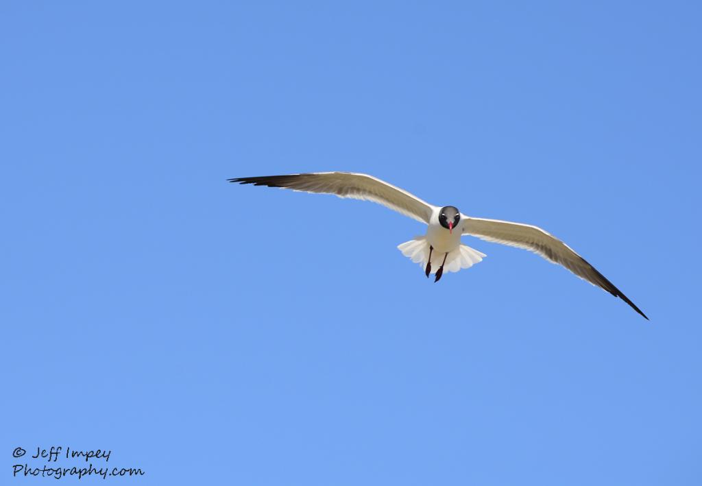 DSC_1640.jpg