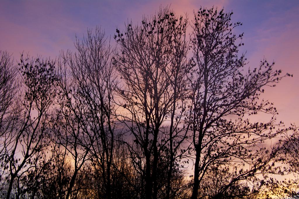 DSC_1640.jpg