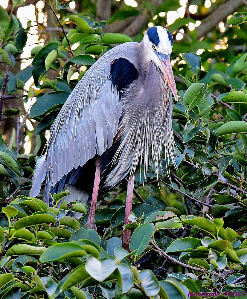 DSC_1640_001.JPG