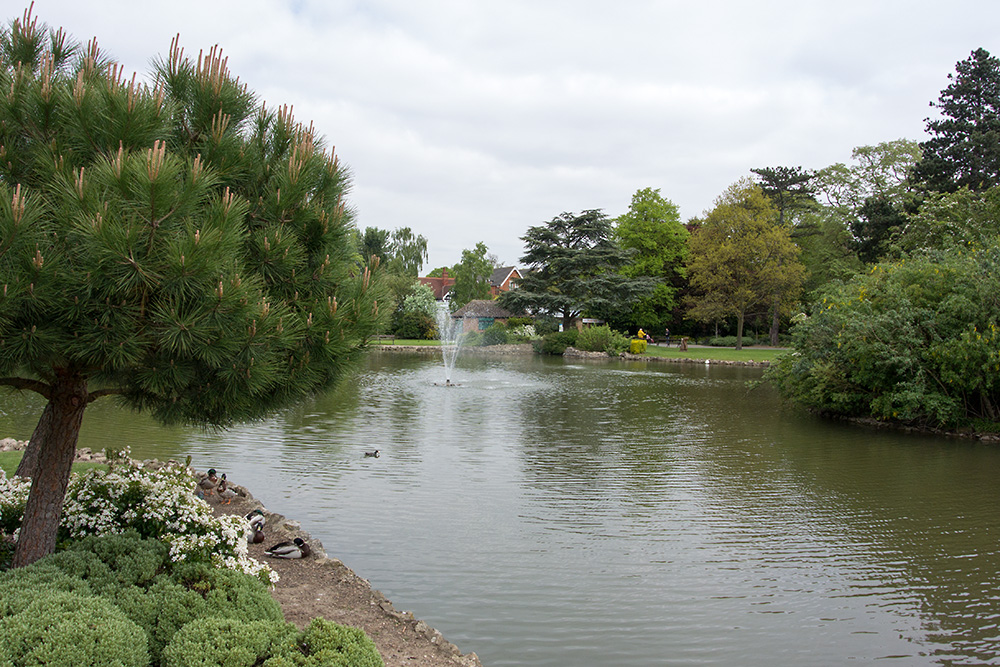 DSC_1644.jpg