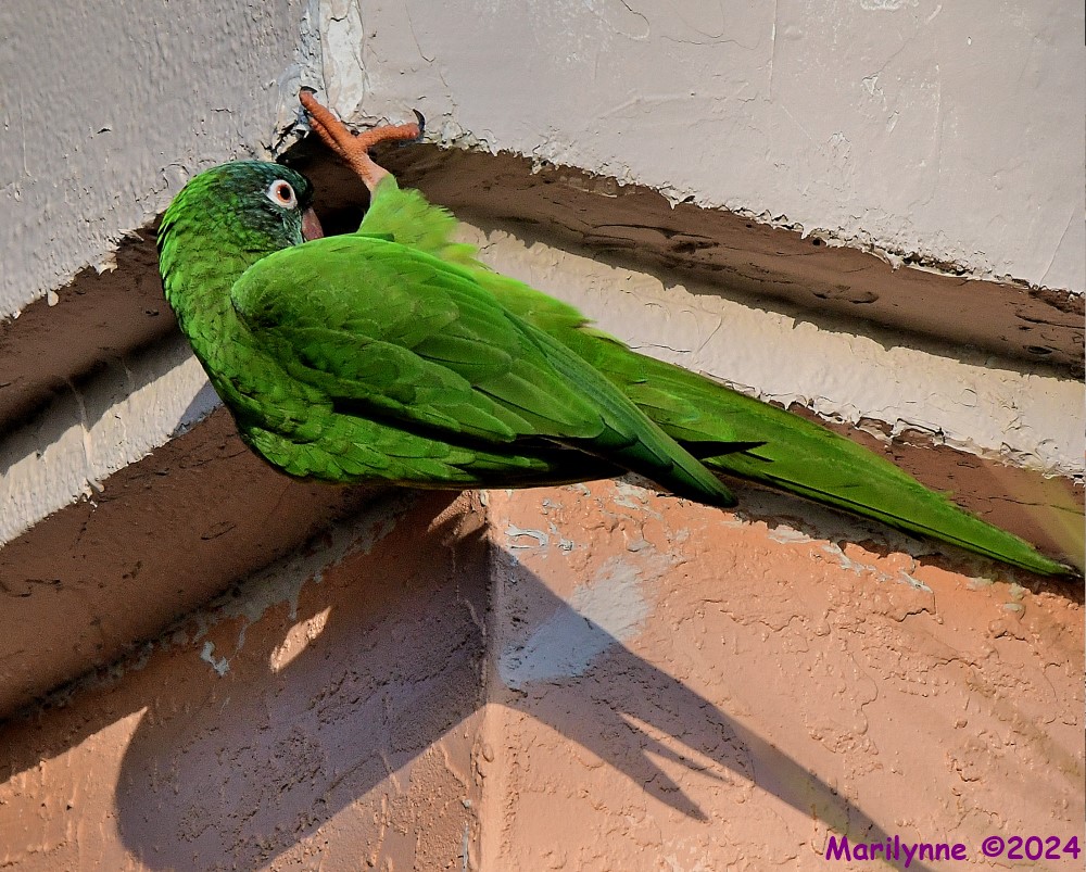 DSC_1646_001.JPG