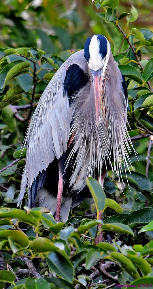 DSC_1647_001.JPG