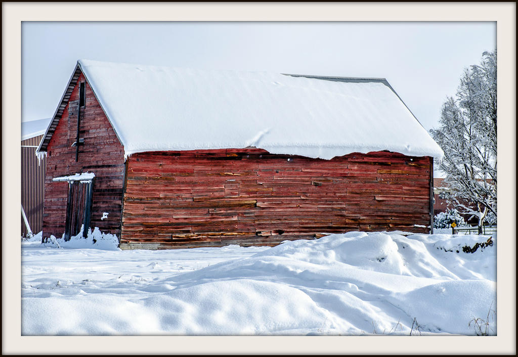 DSC_1648.jpg