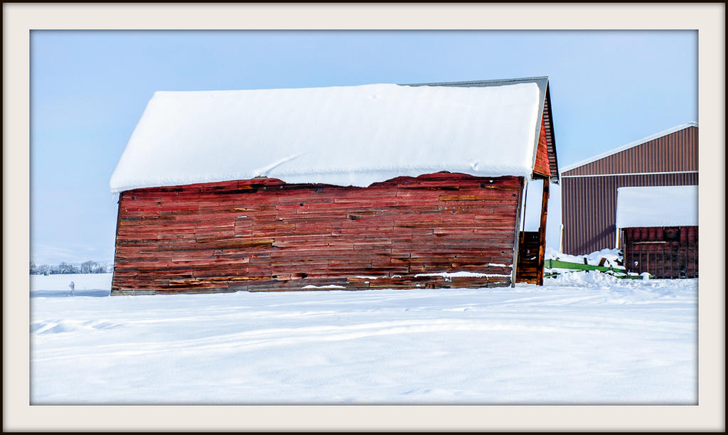 DSC_1649.jpg
