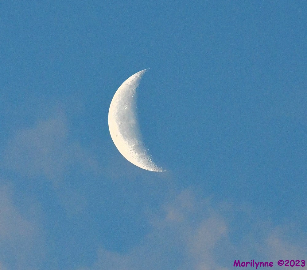 DSC_1649_001.JPG