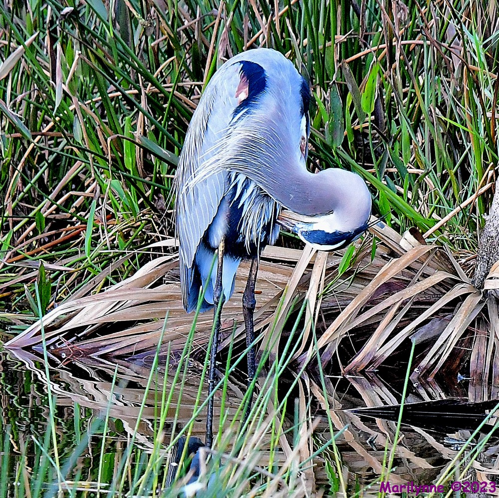 DSC_1649_001.JPG