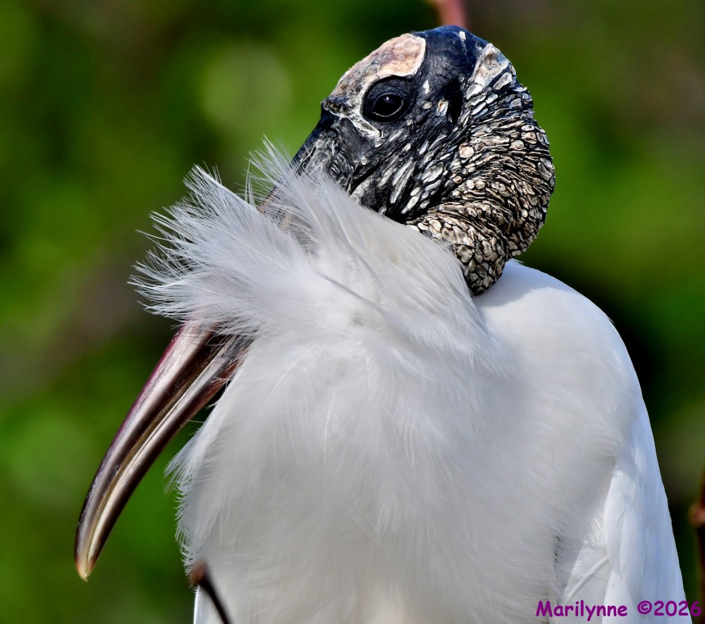 DSC_1649_001.JPG