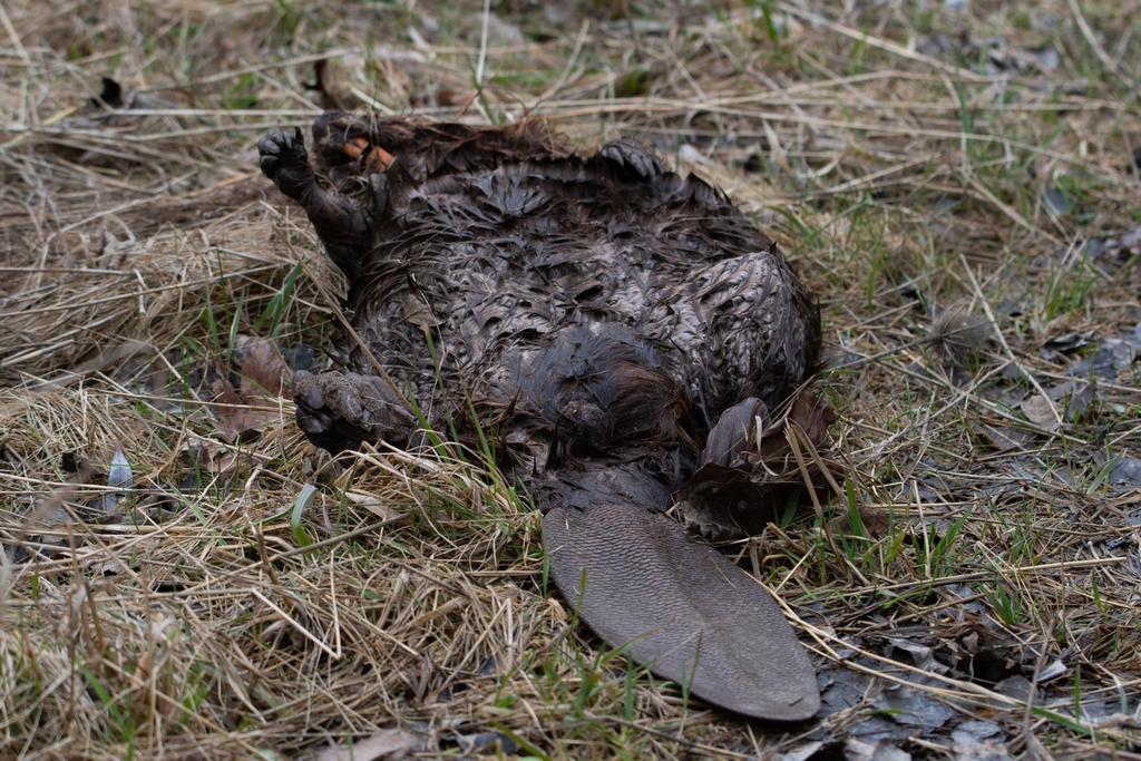 DSC_1651.jpg