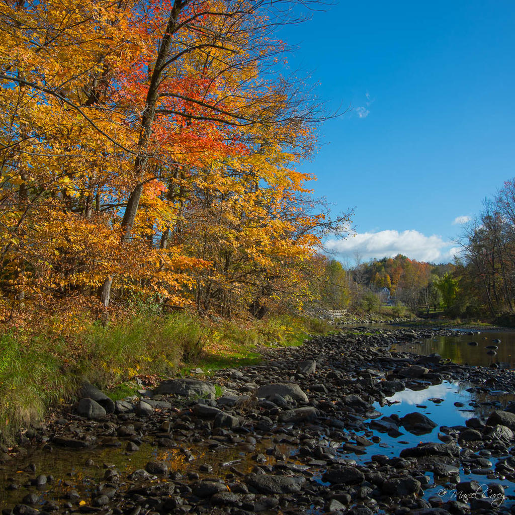 DSC_1654.jpg