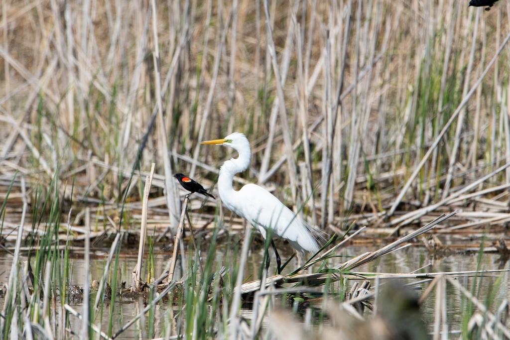 DSC_1654.jpg