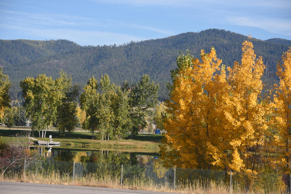 DSC_1655.jpg
