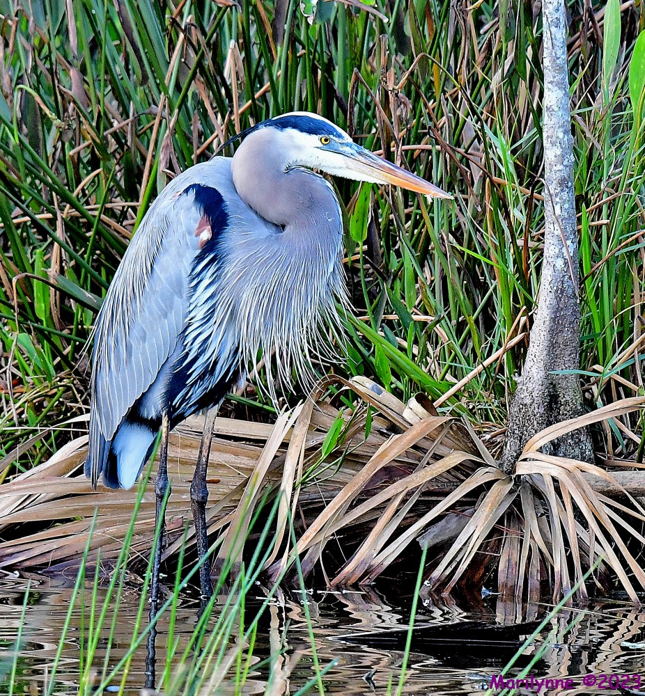 DSC_1658_001.JPG