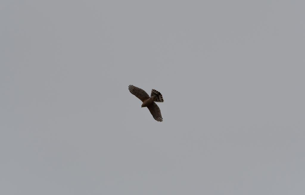 DSC_1659.jpg