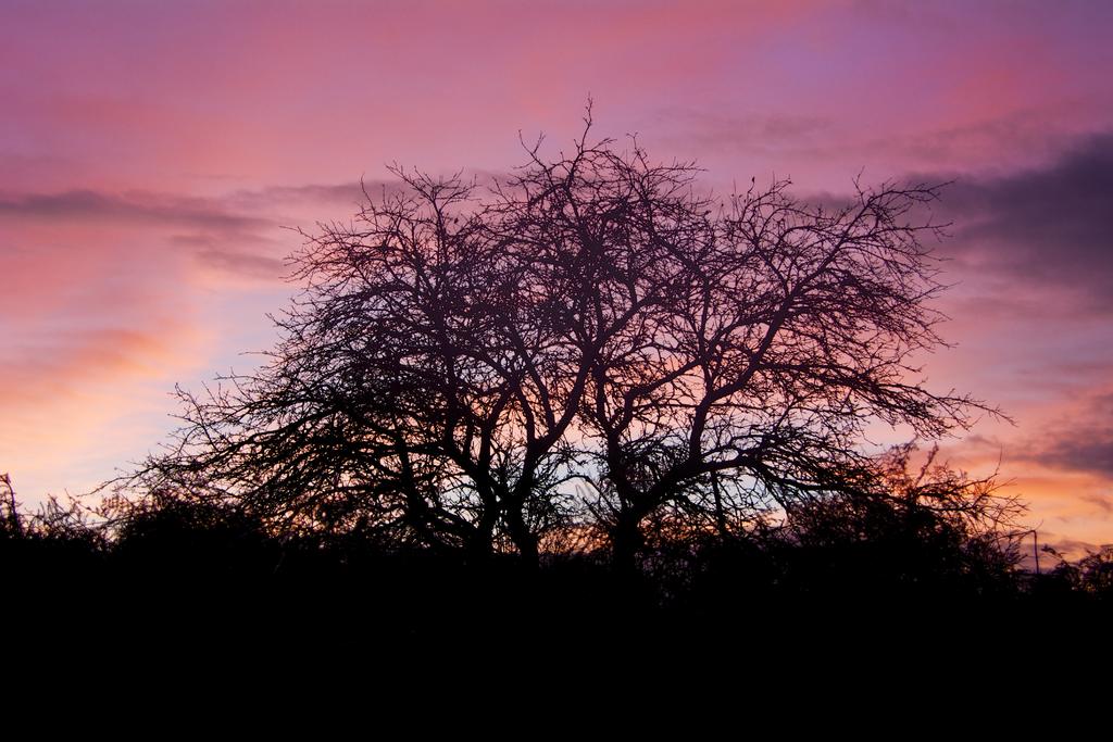 DSC_1659.jpg