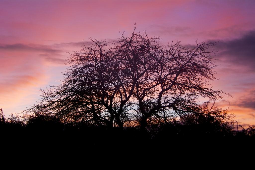 DSC_1659.jpg