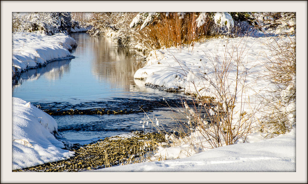 DSC_1662.jpg