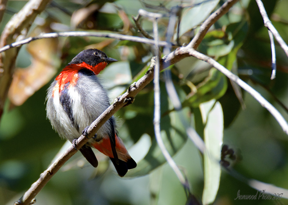 DSC_1662.jpg